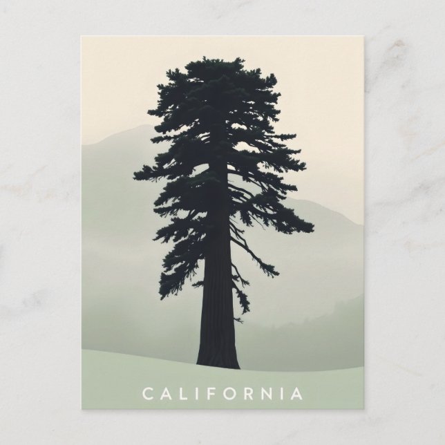 Carte postale californienne (Devant)