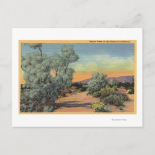 Carte Postale CalifornieVue des arbres fumés dans le désert