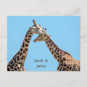 Carte Postale Câlins de girafe romantiques personnalisés