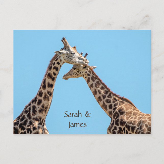 Carte Postale Câlins de girafe romantiques personnalisés (Devant)