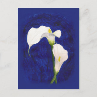 carte postale calla lilies
