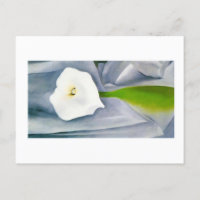 Calla Lily sur Grey, Georgia O'Keeffe