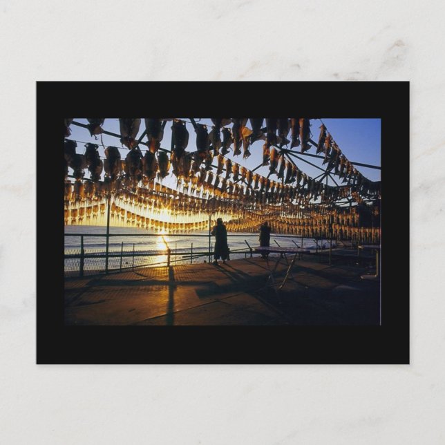 Carte Postale Calmar séché (Devant)