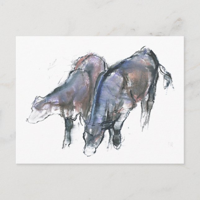 Carte Postale Calves 2006 (Devant)