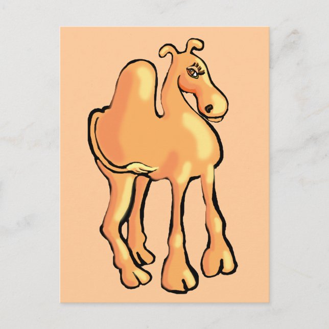Carte Postale Camel (Devant)