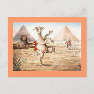 Carte Postale Camel Dance Postcard