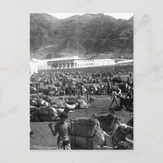 Carte Postale Camel Market, Aden, Yémen 1902