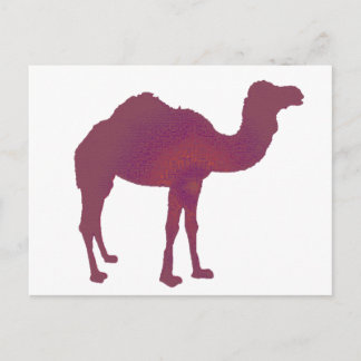 Carte Postale Camel Prestige