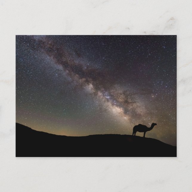 Carte Postale Camel Silhouette et Milkyway (Devant)