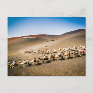 Carte Postale Camel Train de Lanzarote