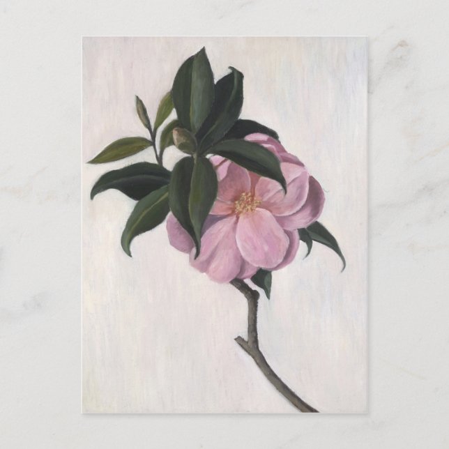 Carte Postale Camellia 1998 (Devant)