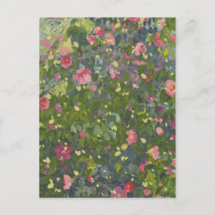 Carte Postale Camellia en Fleur 2014
