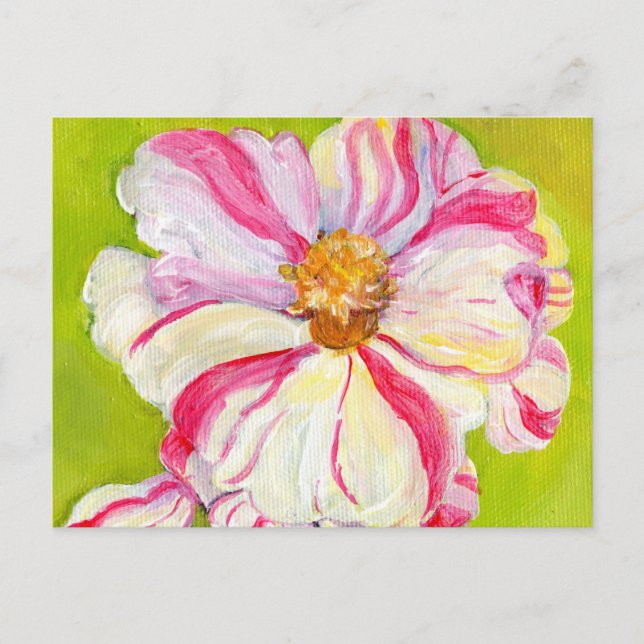 Carte Postale Camellia rose et blanc sur Lime Green (Devant)