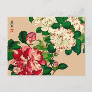 Carte Postale Camellias japonais vintage. Rose profond sur le be