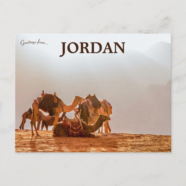 Carte Postale Camels dans le désert en Jordanie (Devant)