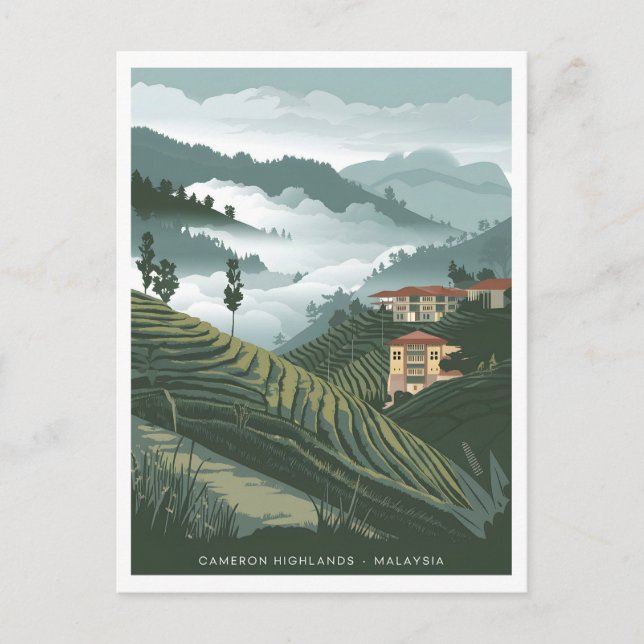 Carte Postale Cameron Highlands Malaisie vintage (Devant)