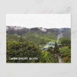 Carte Postale Cameron Highlands plantation de thé, Malaisie