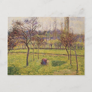 Carte Postale Camille Pissarro - Pommiers dans un champ