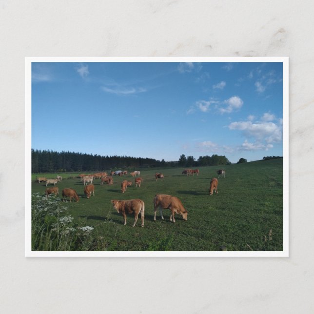 Carte Postale Camino Primitivo de Santiago (Espagne) (Devant)