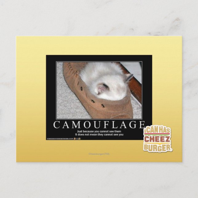 Carte Postale Camouflage (Devant)