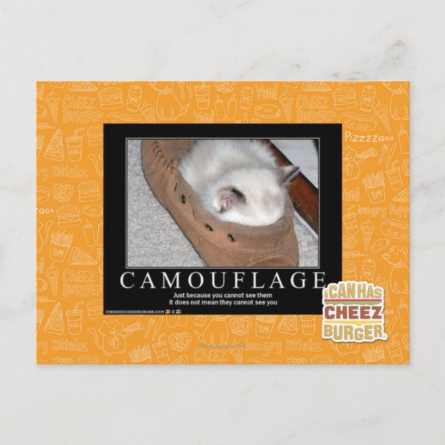 Carte Postale Camouflage (Devant)
