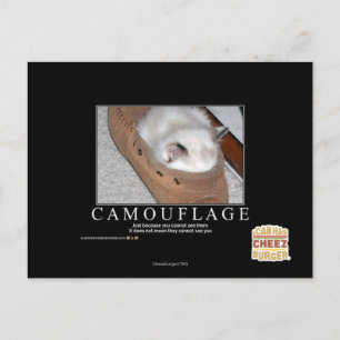 Carte Postale Camouflage