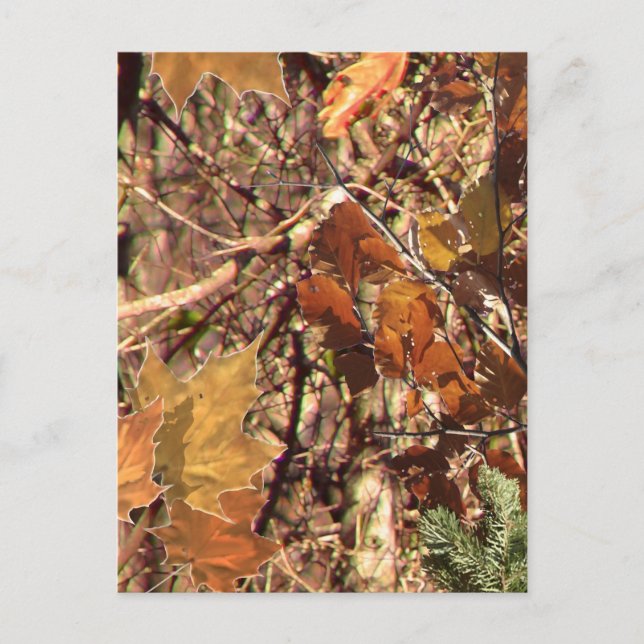 Carte Postale Camouflage de Fall Forest Bush (Devant)