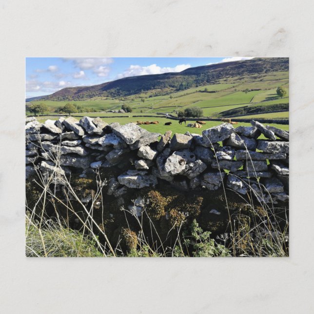 Carte Postale Campagne anglaise (Devant)