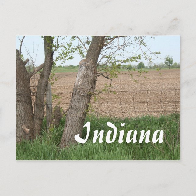 Carte Postale Campagne de l'Indiana (Devant)