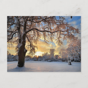 Carte Postale Campagne d'hiver en Lettonie