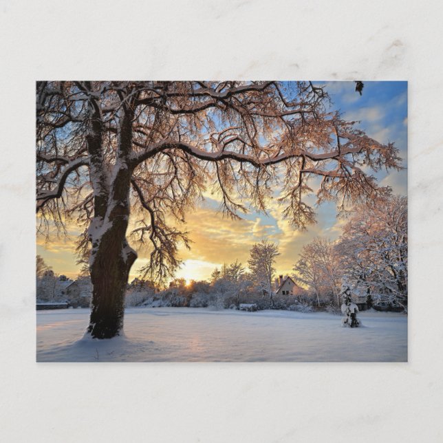 Carte Postale Campagne d'hiver en Lettonie (Devant)