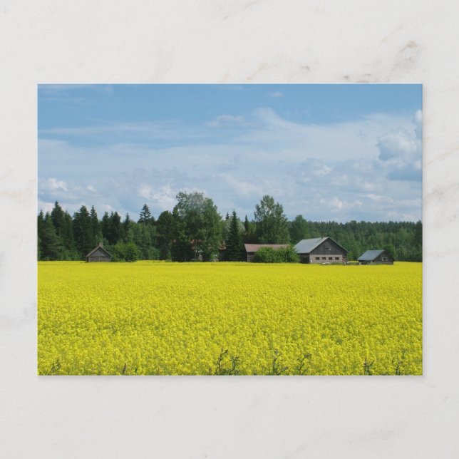 Carte postale campagne finlandaise (Devant)