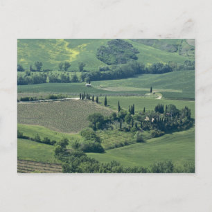 Carte Postale Campagne près de Montepulciano, Val d'Orcia,