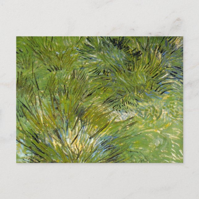 Carte Postale Camps d'herbe par Vincent van Gogh (Devant)