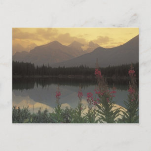 Carte Postale Canada, Alberta, Banff. Paysage au lever du soleil