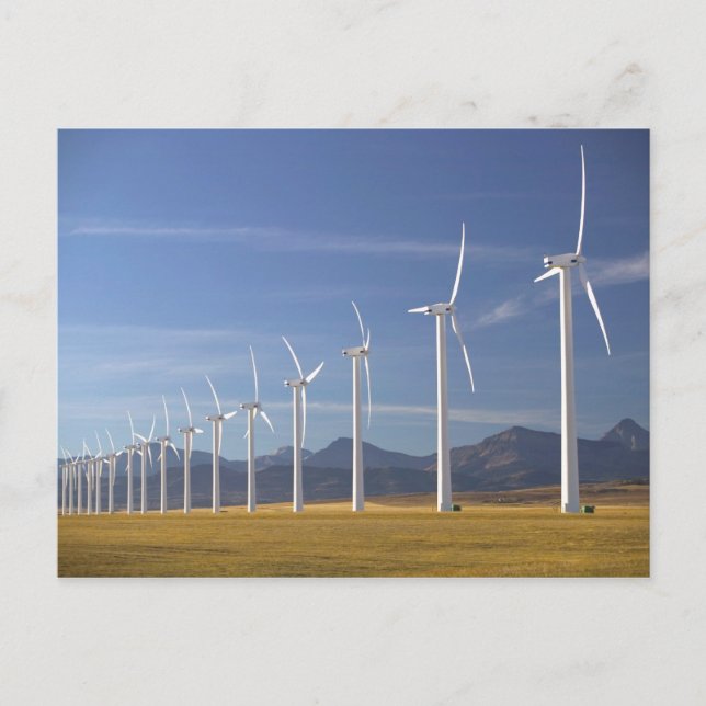 Carte Postale Canada, Alberta, Crowsnest Pass Area : Cowley (Devant)