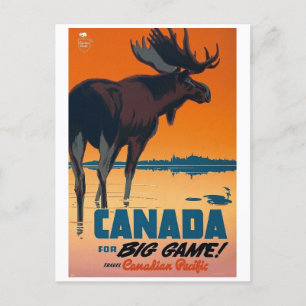 Carte Postale Canada big game
