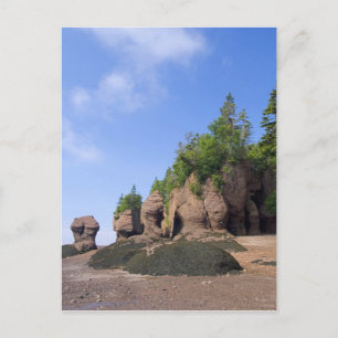 Carte Postale Canada, Nouveau-Brunswick, Cap Hopewell, Baie de