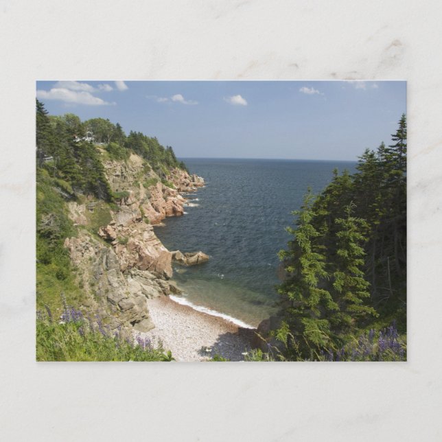 Carte Postale Canada, Nouvelle-Écosse, Île du Cap-Breton, Cabot (Devant)