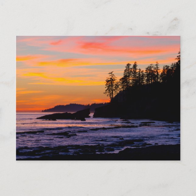 Carte Postale Canada, Réserve de parc national Pacific Rim, Oues (Devant)