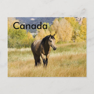 Carte postale canadienne