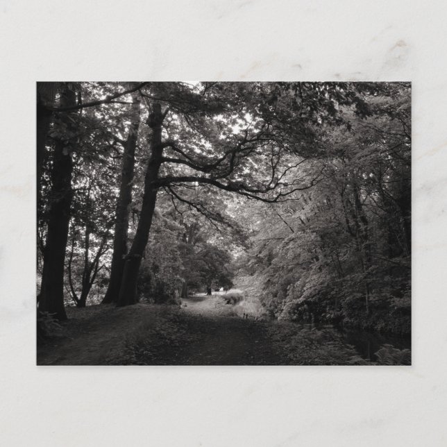 Carte Postale Canal, Bute Park, Cardiff, Pays de Galles (Devant)