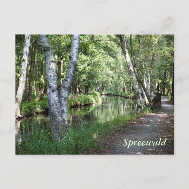 Carte Postale Canal de Spreewald (Devant)