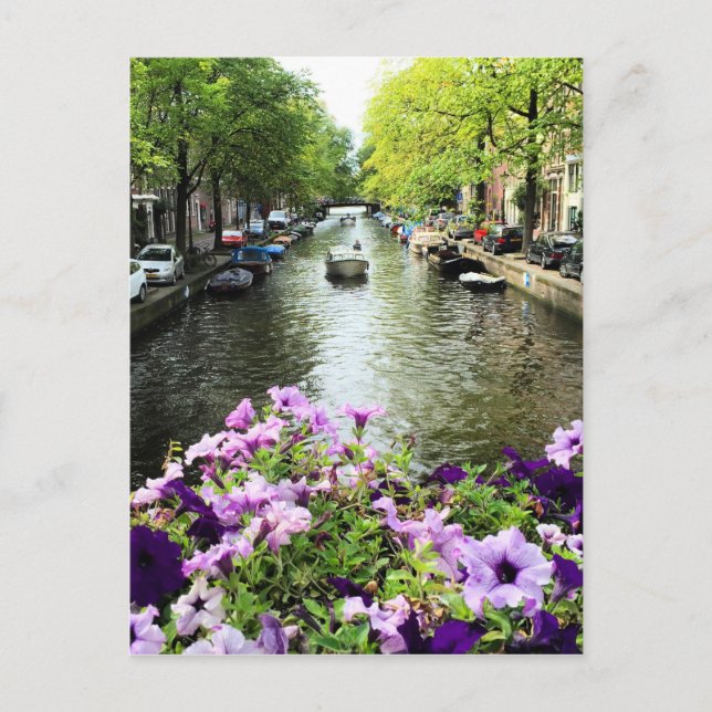 Carte Postale Canal d'été Amsterdam (Devant)