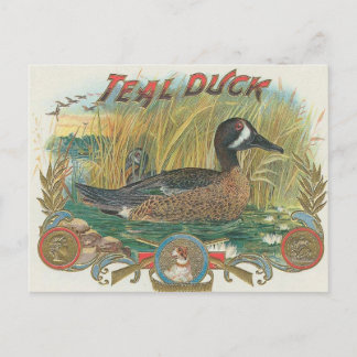 Carte Postale Canard