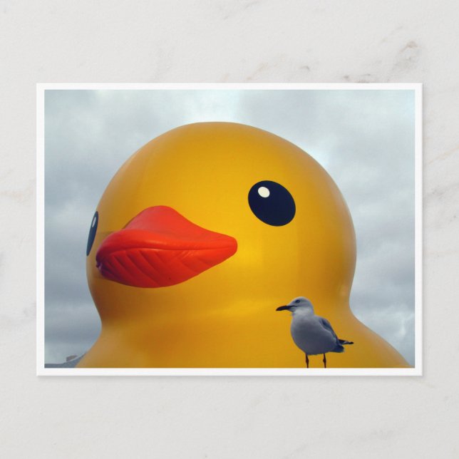 Carte Postale canard en caoutchouc (Devant)