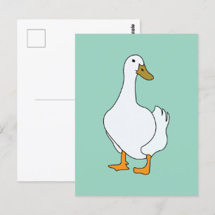 Carte Postale Canard Oiseau Canard Blanc