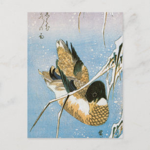 Carte Postale Canard sauvage Nage neige Laden Reeds par Hiroshig