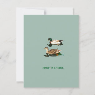 Carte Postale Canards colverts