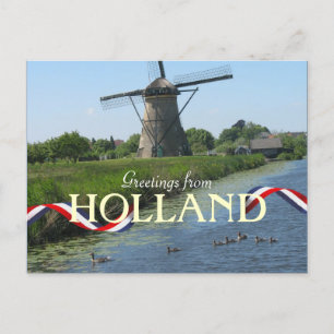 Carte postale Canards de moulin néerlandais